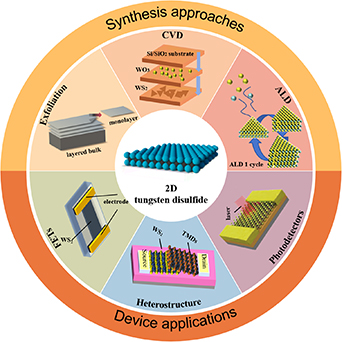 2D WS2 monolayer preparation method and research progress in the field ...