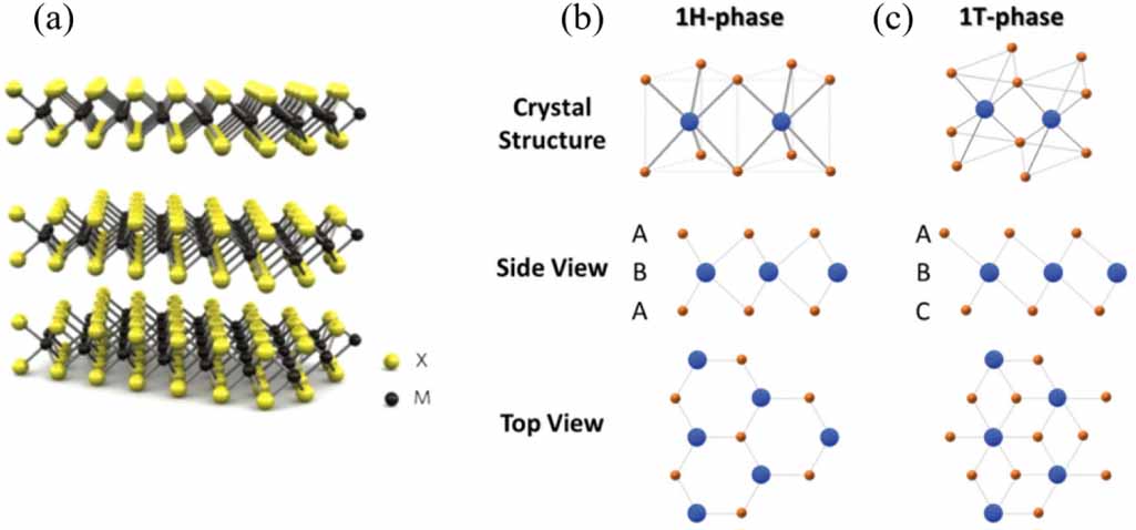 2D WS2 monolayer preparation method and research progress in the field ...
