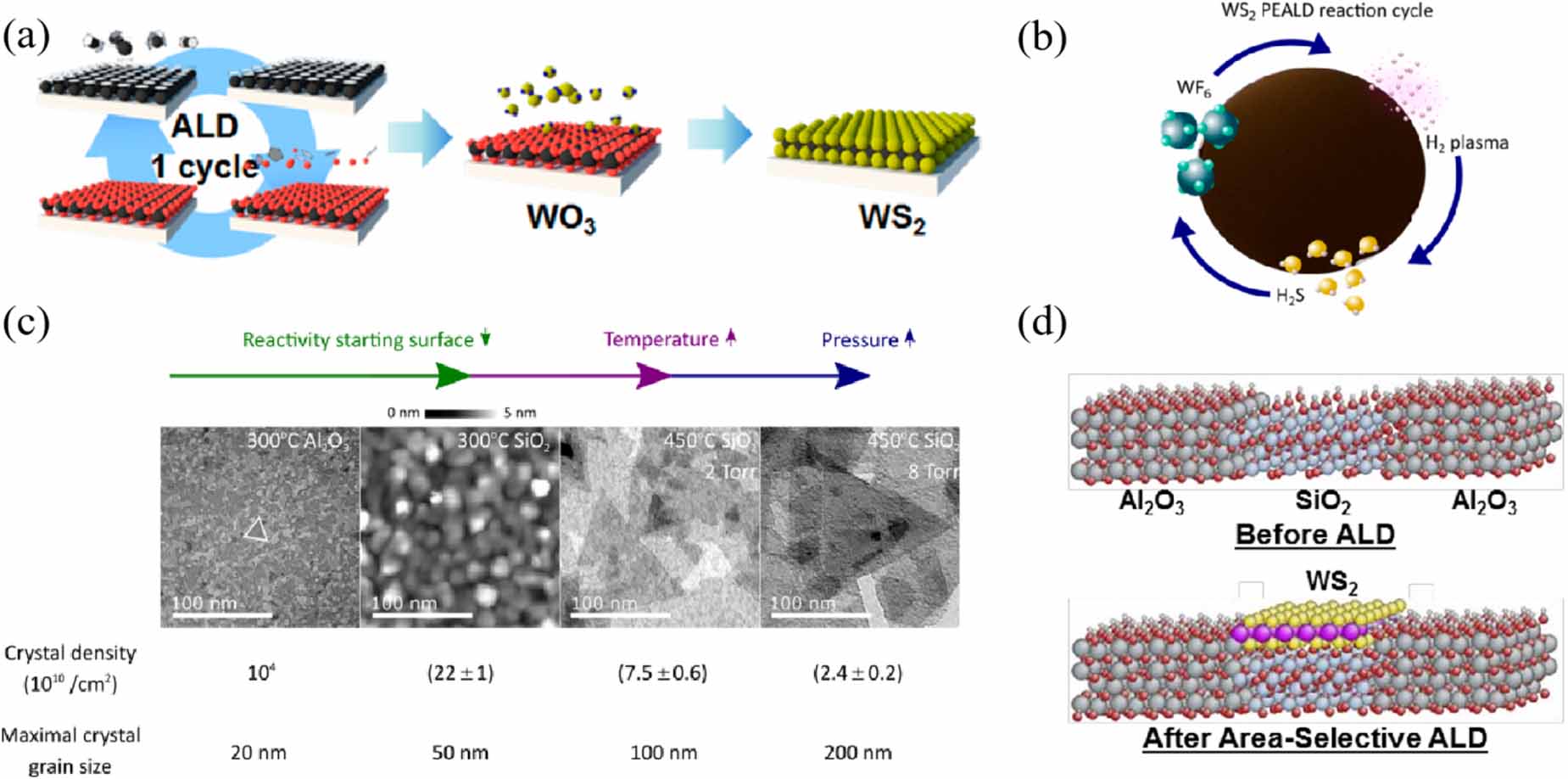 2D WS2 monolayer preparation method and research progress in the field ...