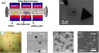2D WS2 monolayer preparation method and research progress in the field ...