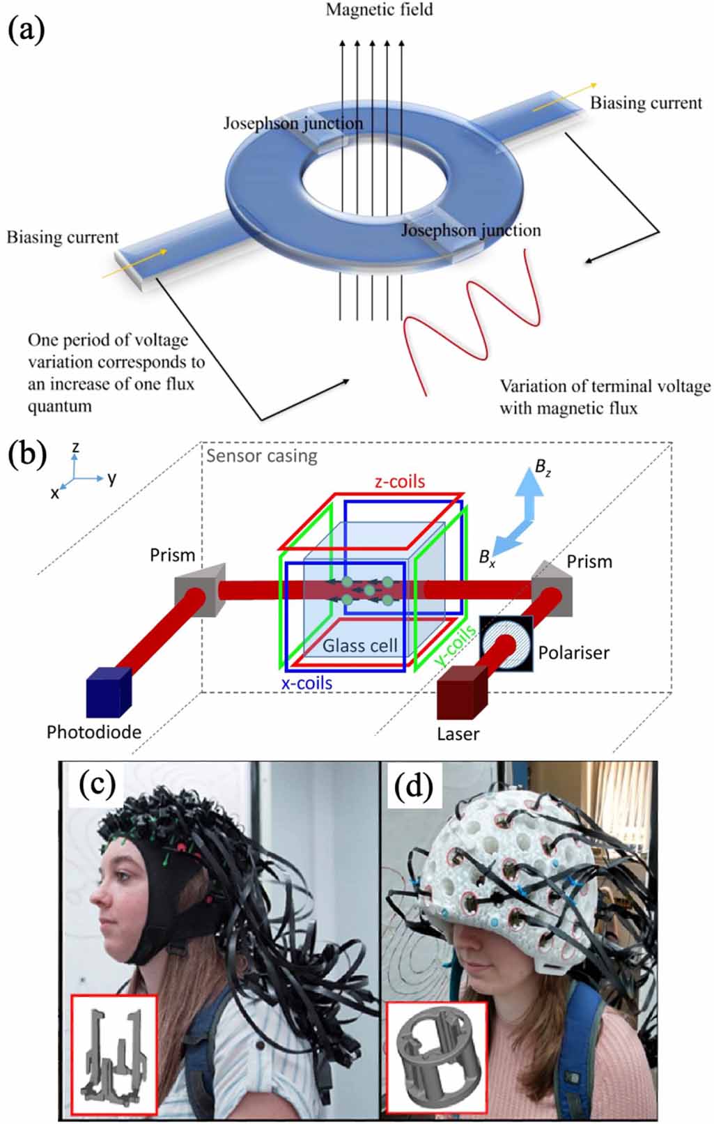 Perspective: magnetic quantum sensors for biomedical applications ...