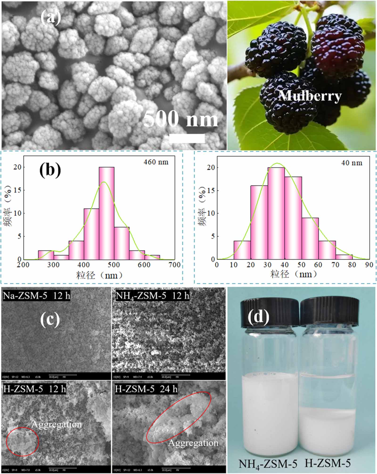 Preparation and performance of ZSM-5/MoS2/PTFE coating for