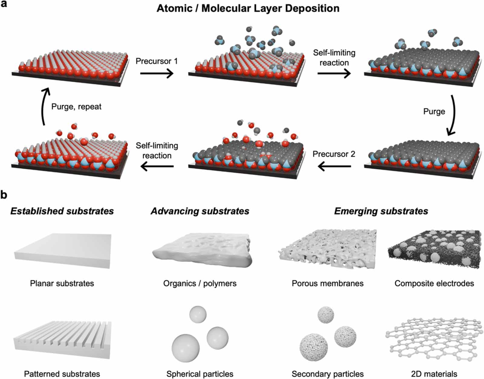 Atomic and molecular layer deposition on unconventional substrates ...