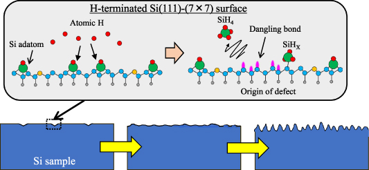 Etching processes of Si(111) surfaces with bunched steps via atomic ...