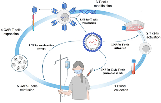 mRNA lipid nanoparticles in CAR-T therapy: a novel strategy to improve ...