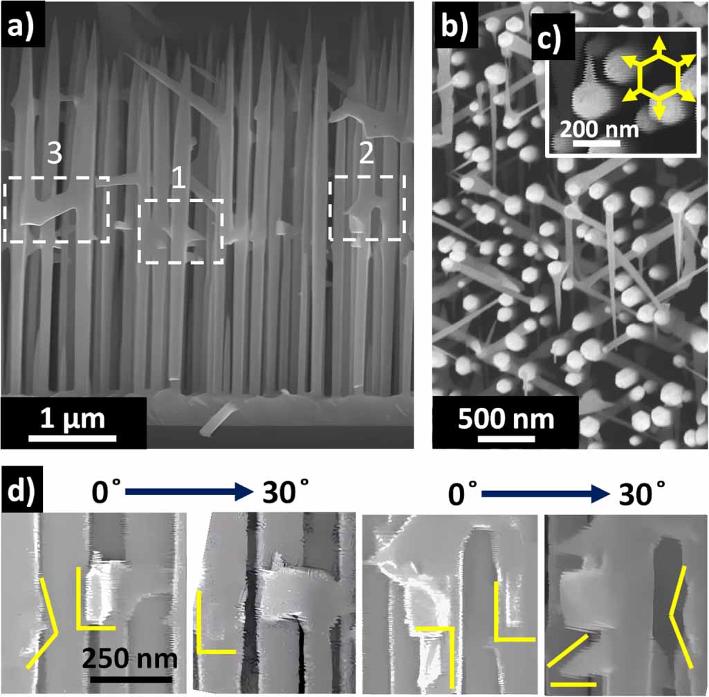 MBE growth and properties of branched AlGaAs nanowires on