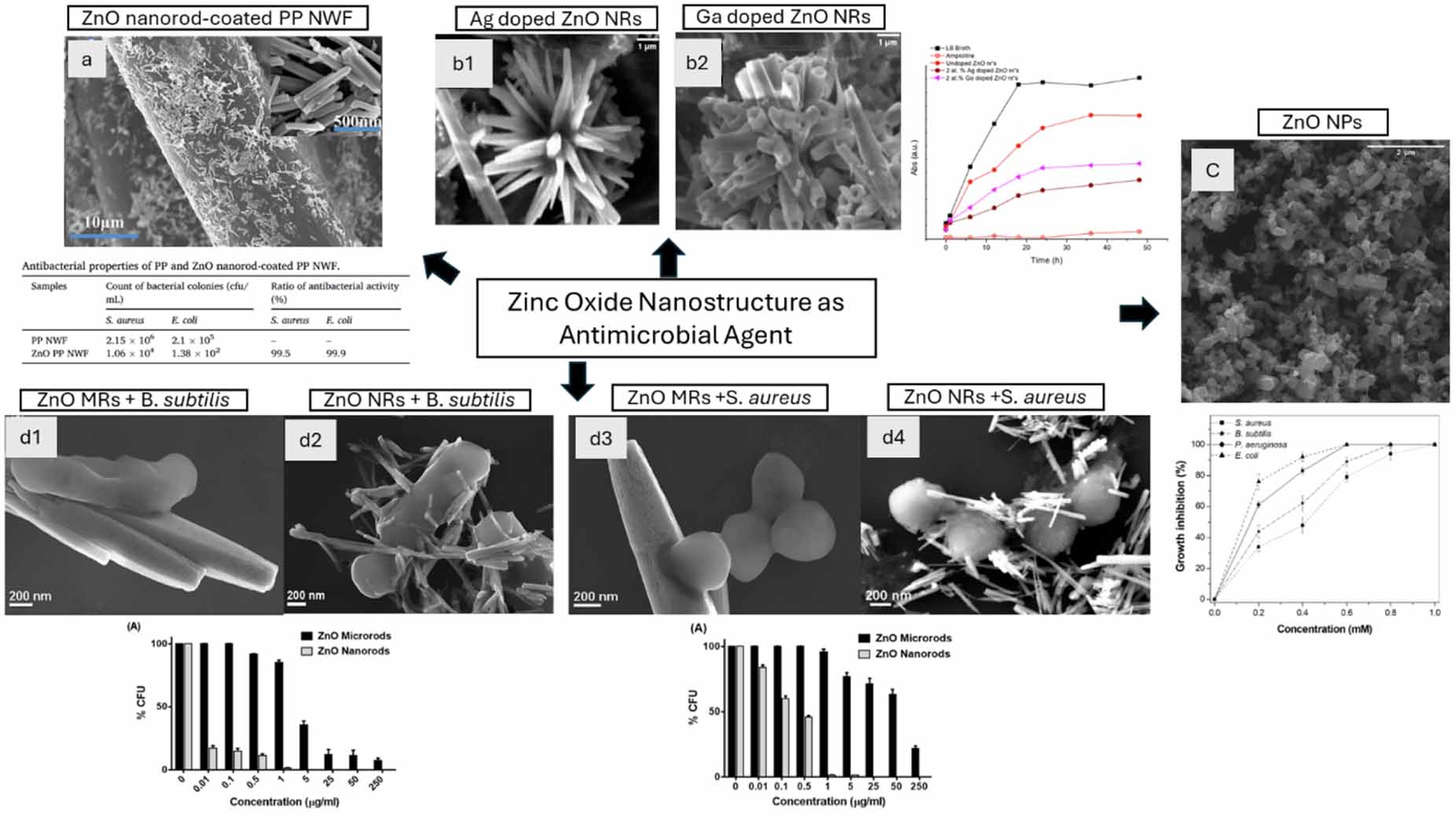 A review on zinc oxide nanostructures as antimicrobial agent: mechanism ...