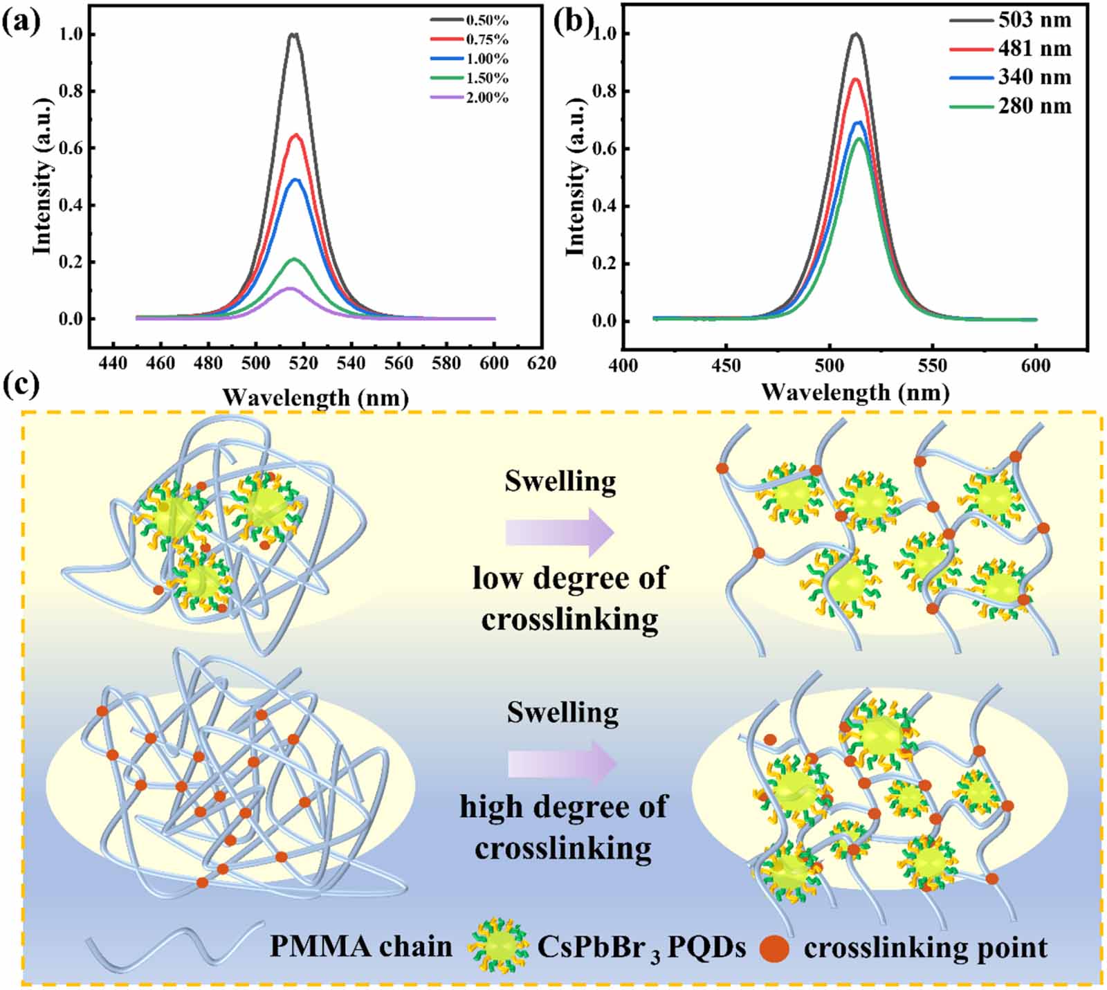Stable perovskite quantum dots encapsulated with polymethyl ...