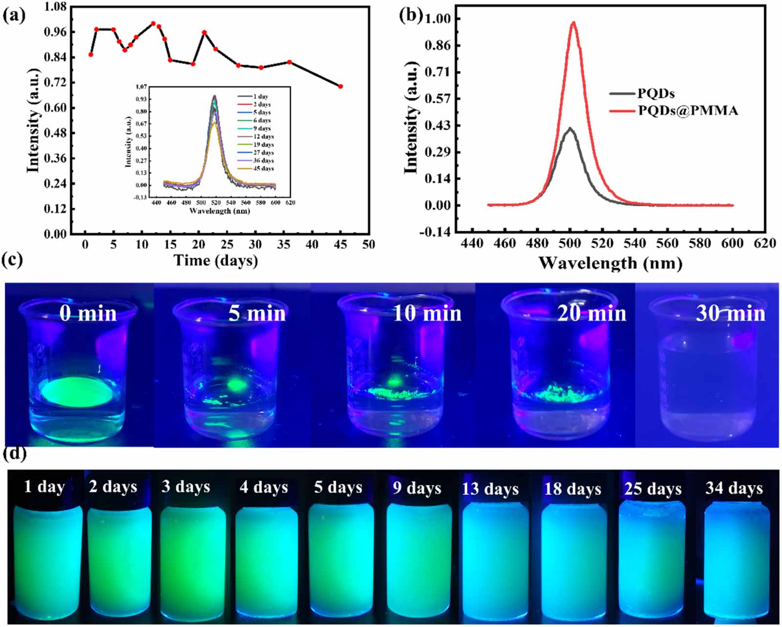 Stable perovskite quantum dots encapsulated with polymethyl ...