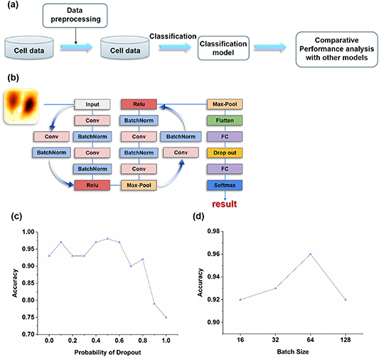 Detecting and classifying the mechanics of cancer and non-cancer cells ...