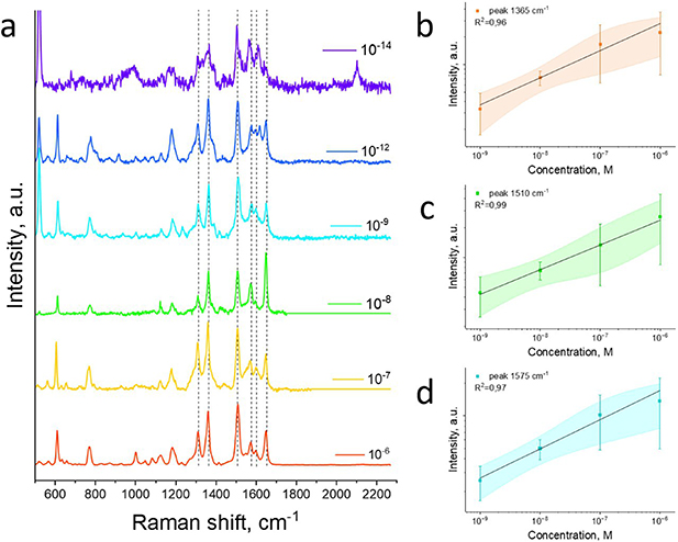 ZnO/Ag nanostructures for surface-enhanced Raman spectroscopy: effect ...