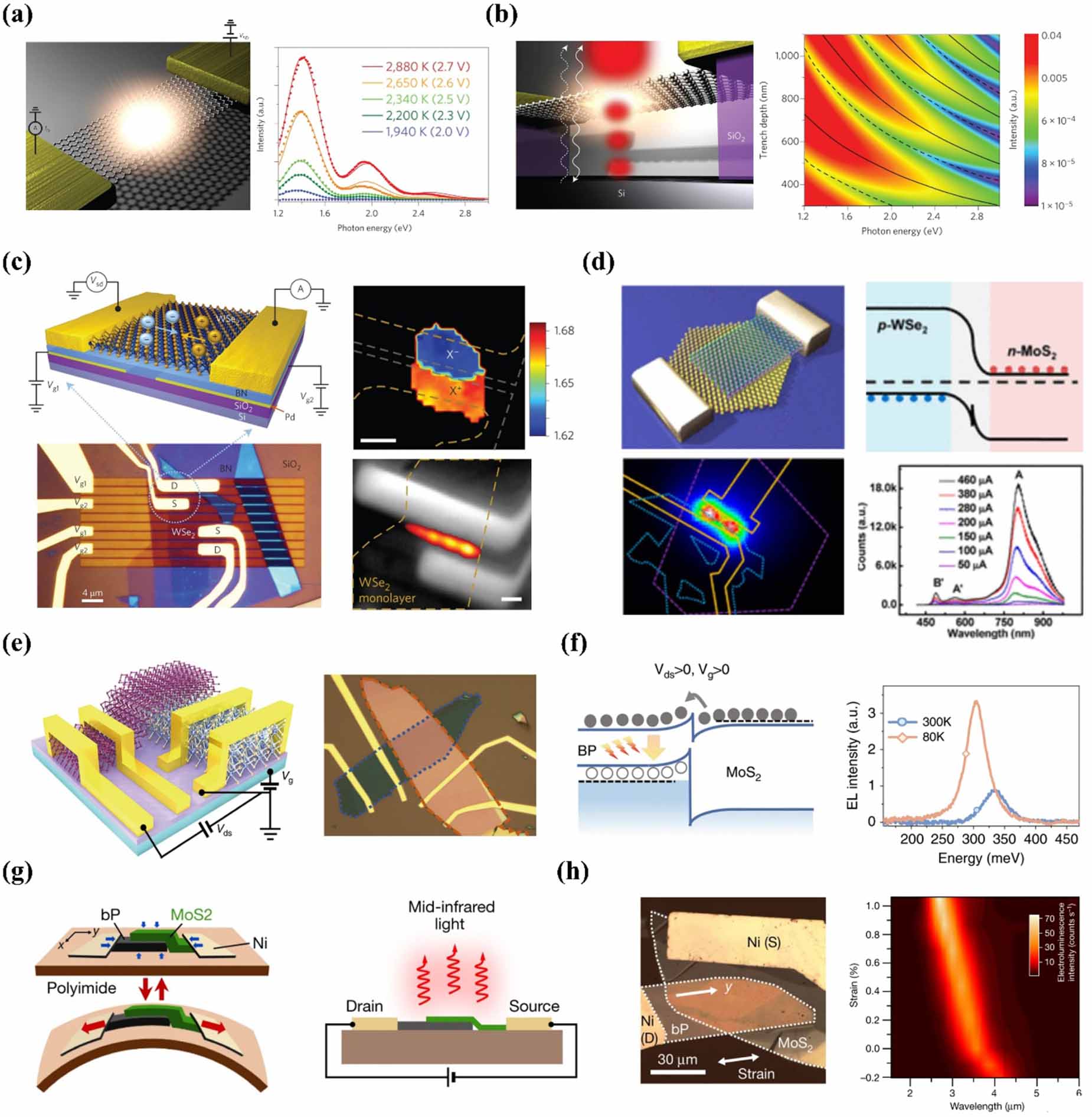 2D materials in functional optoelectronics: recent advances and future ...