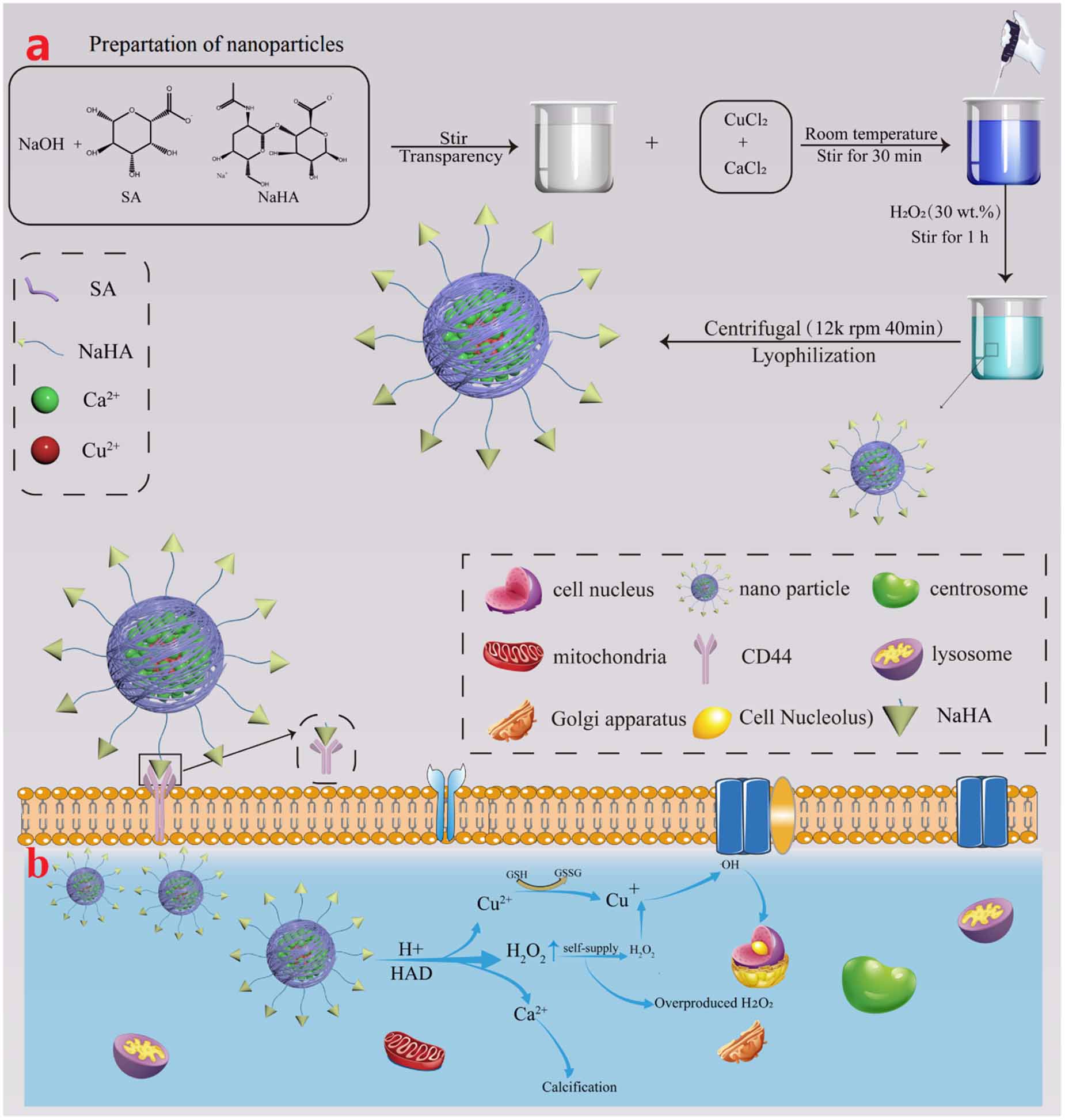 Self-supply of hydrogen peroxide by a bimetal-based nanocatalytic ...