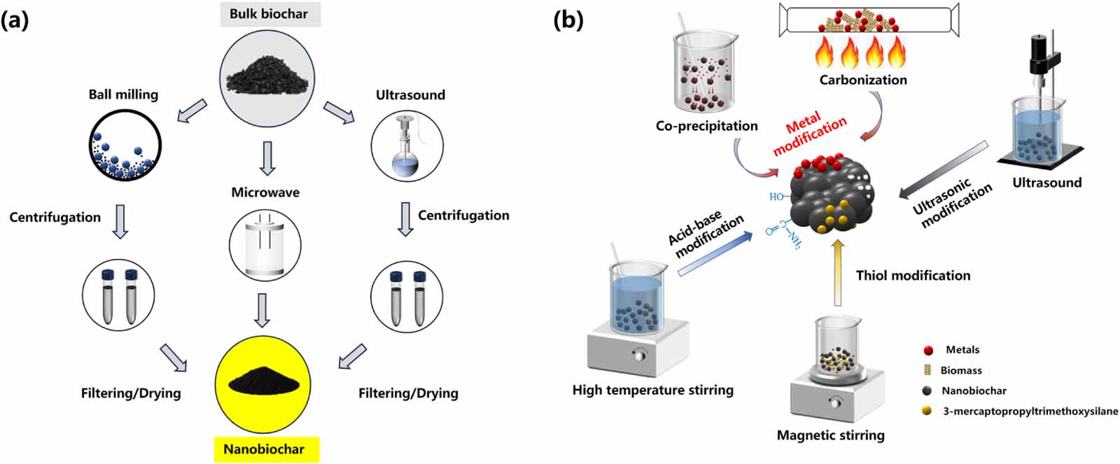 Interfacial interactions and ecological impacts of