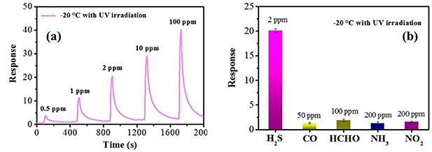 SnO2 based nanostructures for gas sensor application: a review - IOPscience