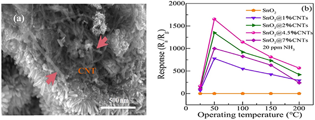 SnO2 based nanostructures for gas sensor application: a review - IOPscience