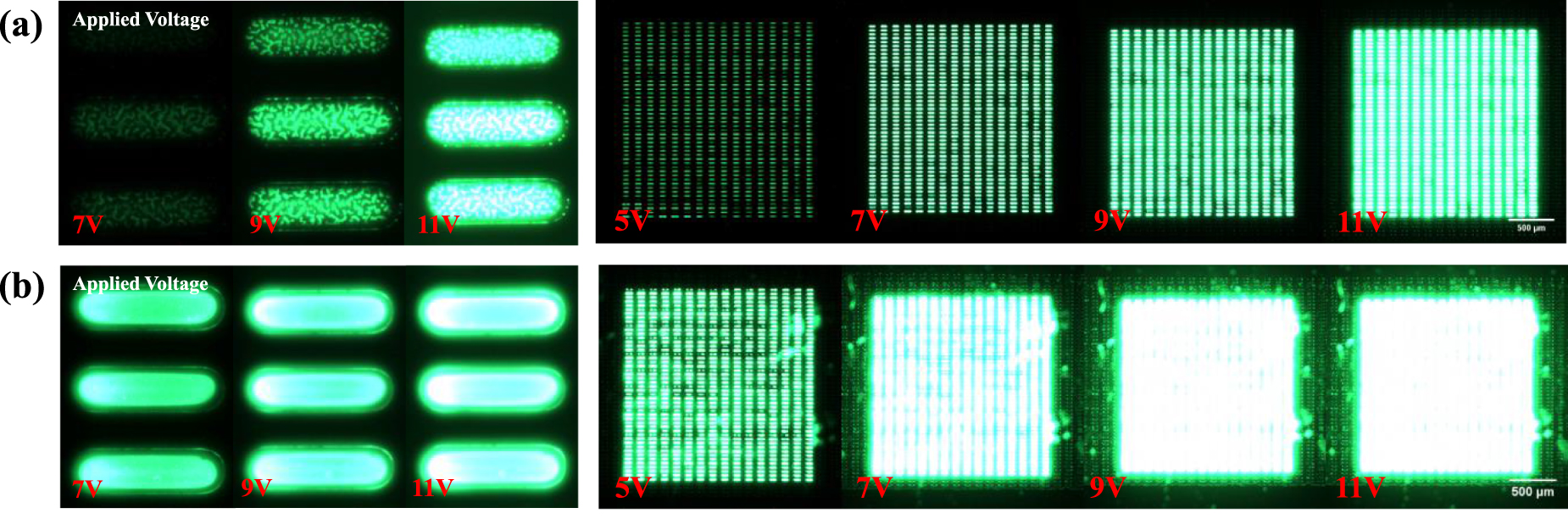 High-resolution all-inkjet-printed quantum dot light emitting diodes ...