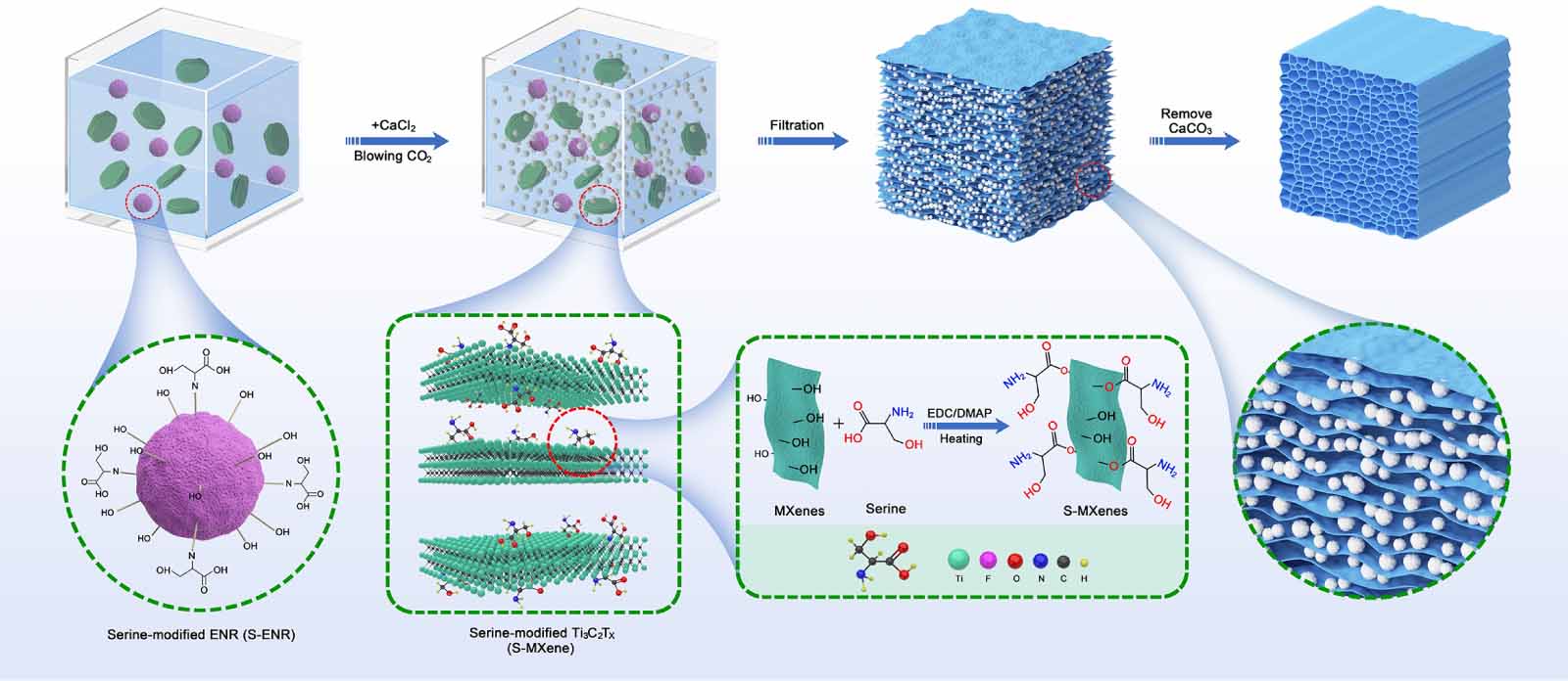 3D MXene/ENR hybrid electrodes with enhanced mechanical stability for ...