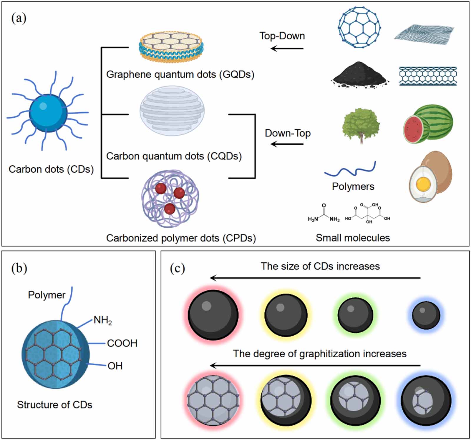 Engineering targeted carbon dots: a multifaceted approach to
