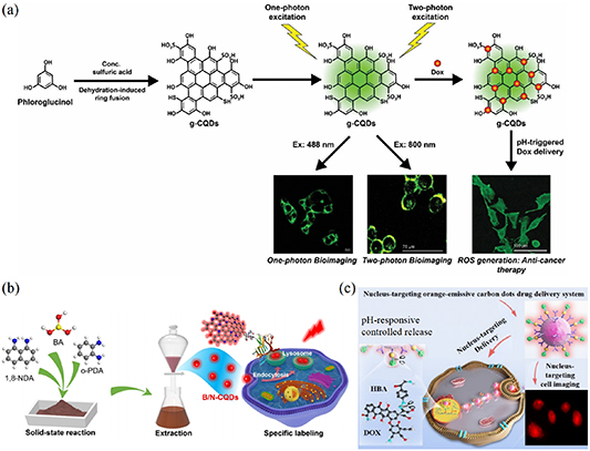 Engineering targeted carbon dots: a multifaceted approach to