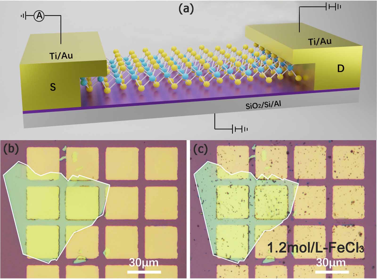 Wse2 Rods Controllable p-type doping and improved conductance of few-layer WSe2 ...
