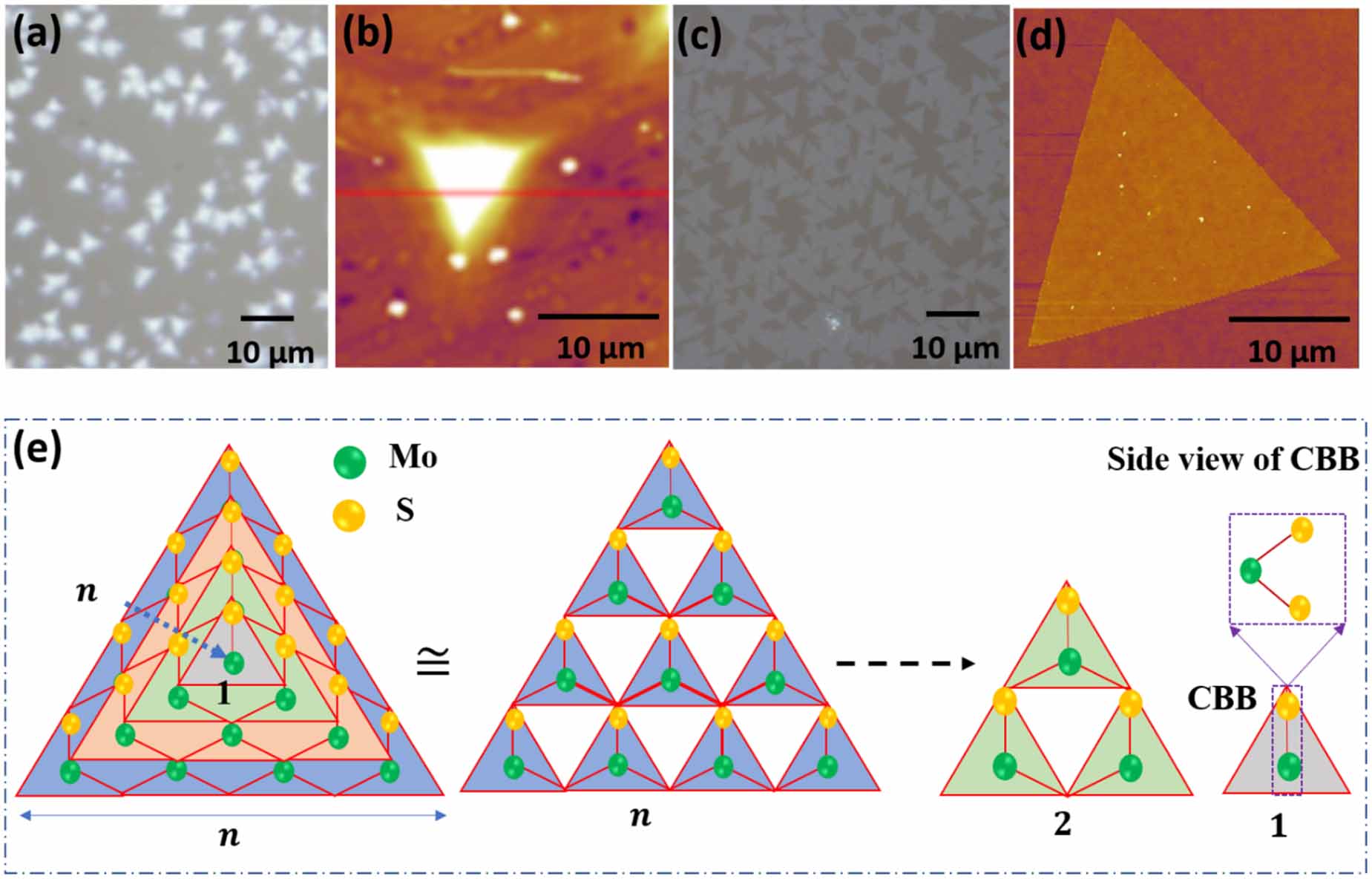 Understanding the competing growth of 2D and 3D transition metal ...