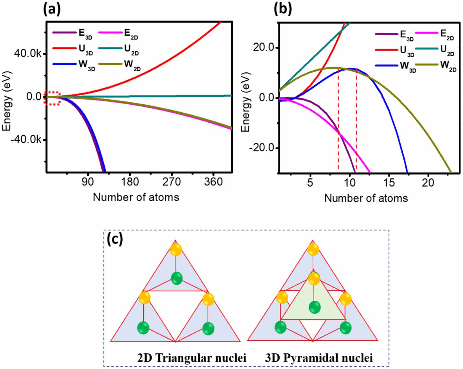 Understanding the competing growth of 2D and 3D transition metal ...