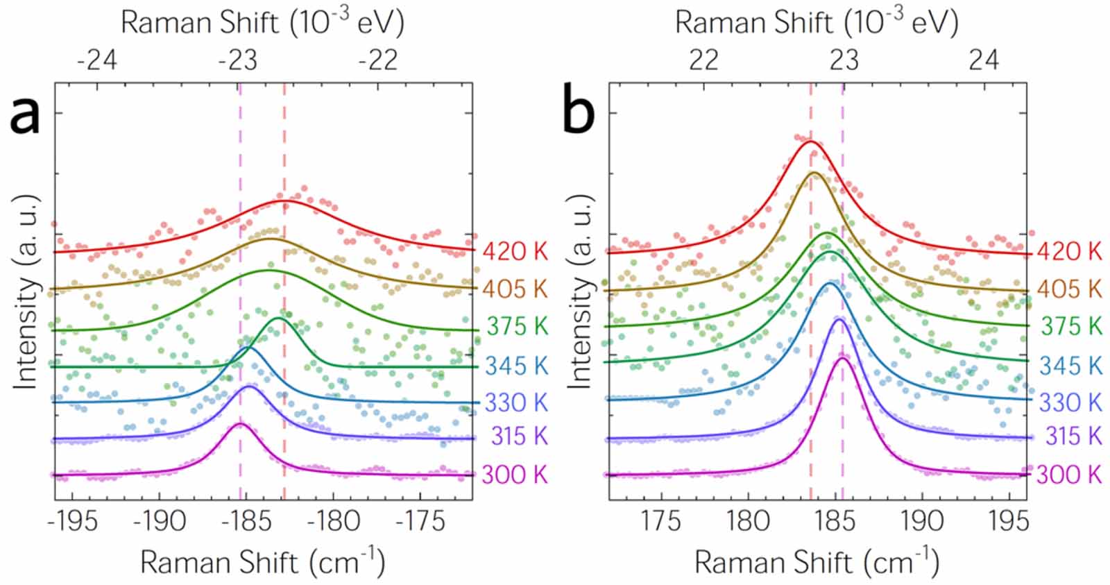 SnSe2 thermal conductivity from optothermal Raman and Stokes/anti ...
