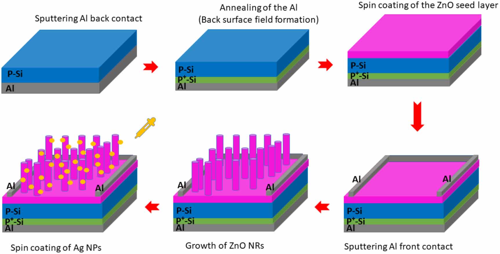 Development of ZnO nanorods/Si heterojunction photodetectors for high ...