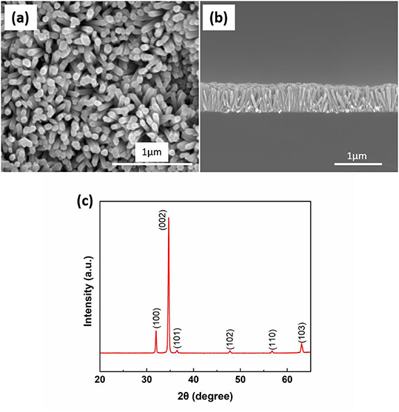 Development of ZnO nanorods/Si heterojunction photodetectors for high ...