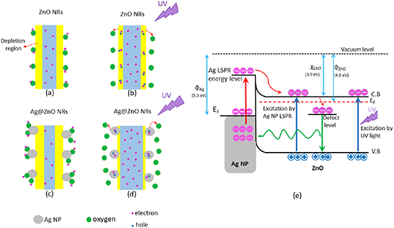 Development of ZnO nanorods/Si heterojunction photodetectors for high ...