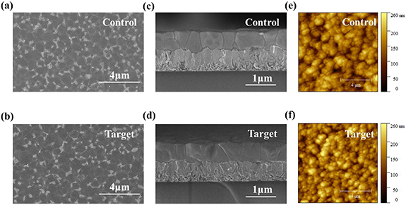 Synergistic defect passivation and energy band reconstruction via ...