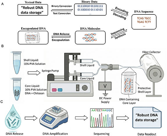 Nanofiber-based protection of DNA for archival data storage via coaxial ...