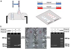 Nanofiber-based protection of DNA for archival data storage via coaxial ...