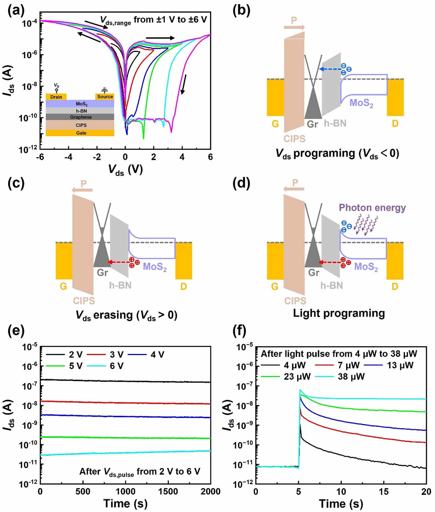 Van der Waals heterostructure-based flexible two-terminal ferroelectric ...