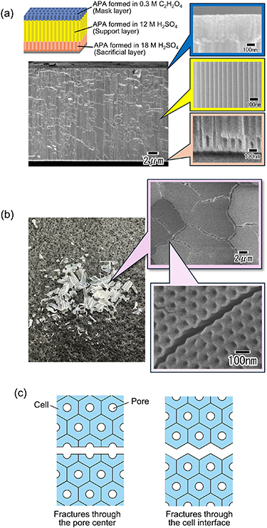 Preparation of ordered anodic porous alumina masks with large areas by ...
