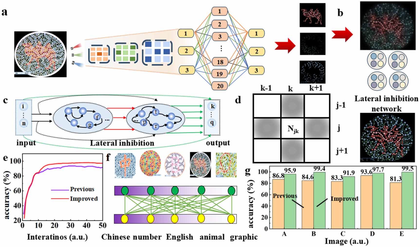 Optoelectronic artificial synapse for lateral inhibition-enhanced ...