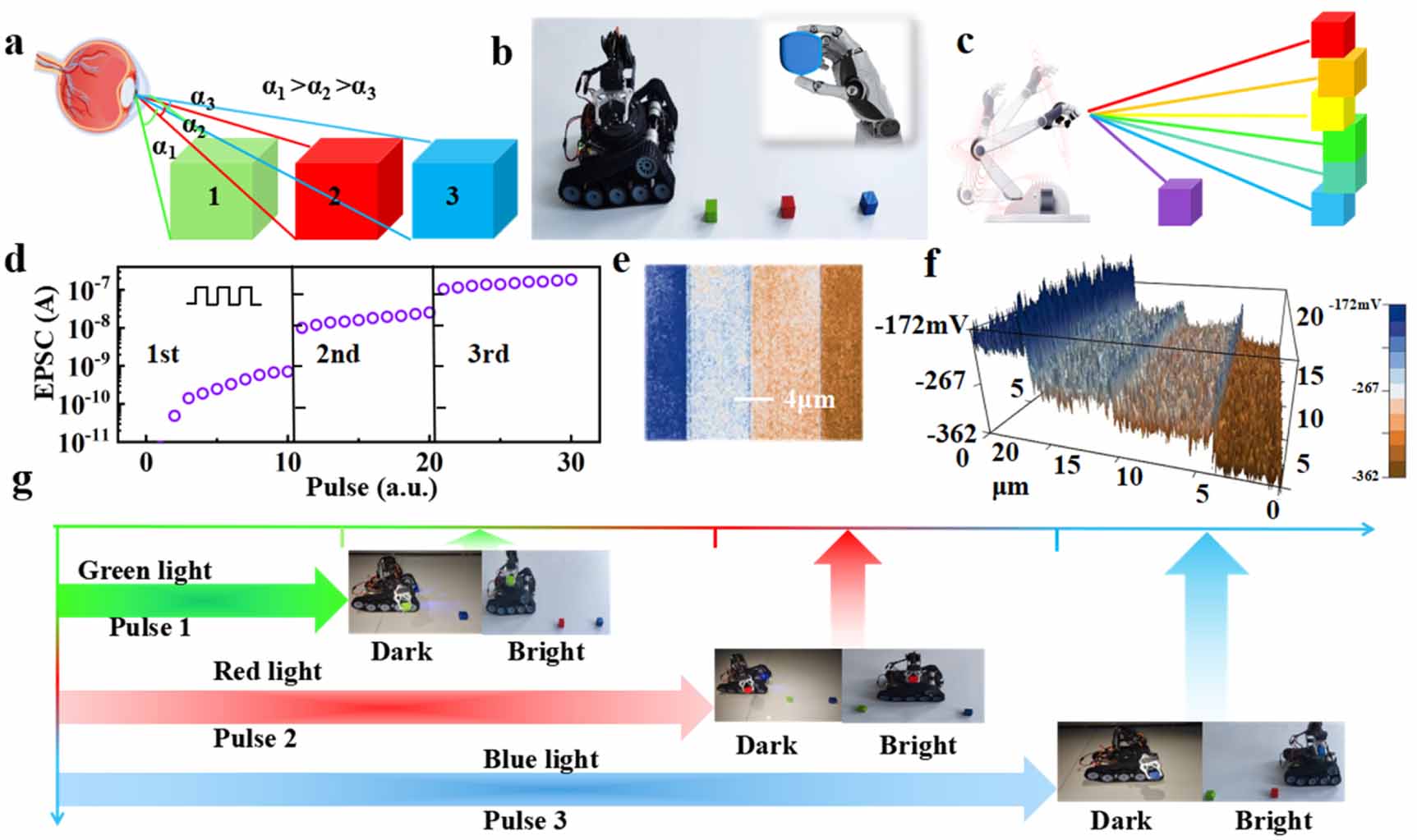 Optoelectronic artificial synapse for lateral inhibition-enhanced ...