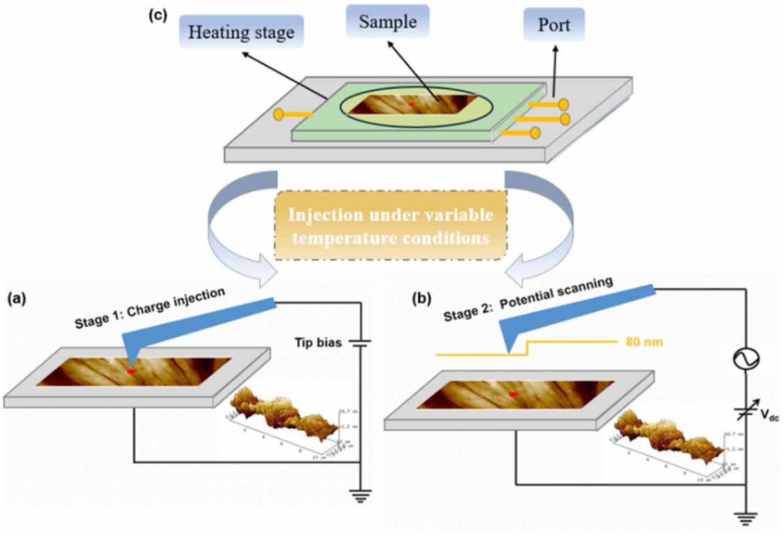 Probing micro-scale charge migration of polycrystalline polypropylene ...