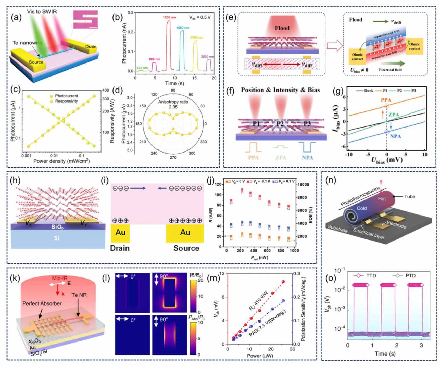 Research progress and challenges of low-dimensional tellurium