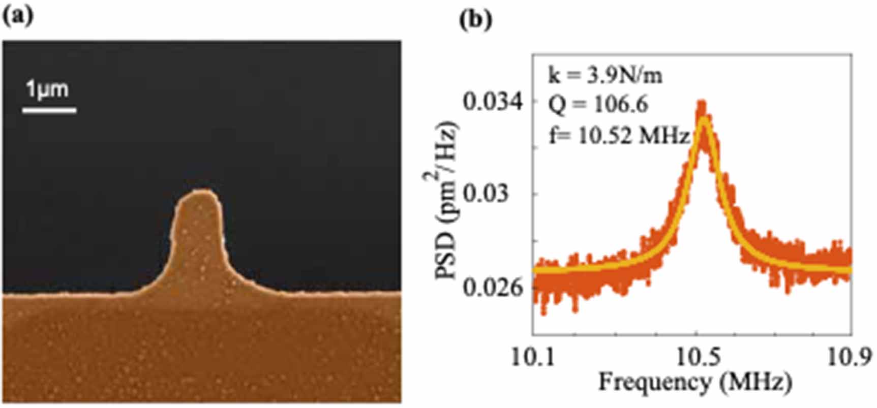 Small Afm Fabrication of ultra-small bimorph cantilevers for high-speed AFM of ...