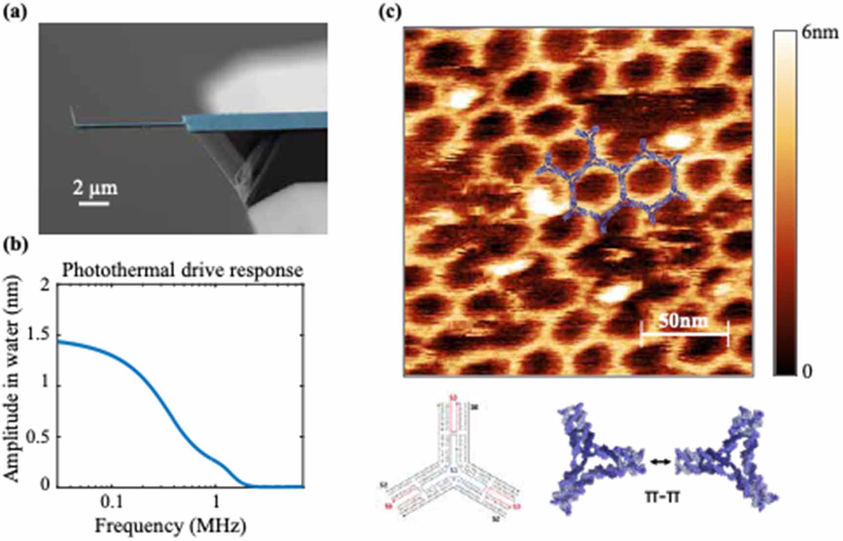 Small Afm Fabrication of ultra-small bimorph cantilevers for high-speed AFM of ...