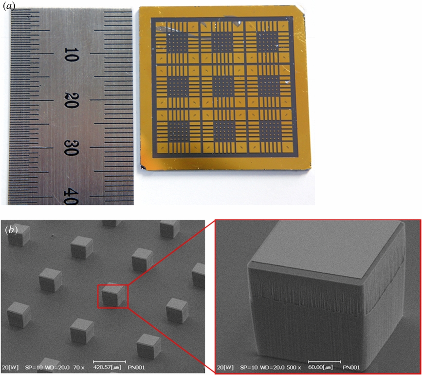 Fabrication of a flexible penetrating microelectrode array for use on ...