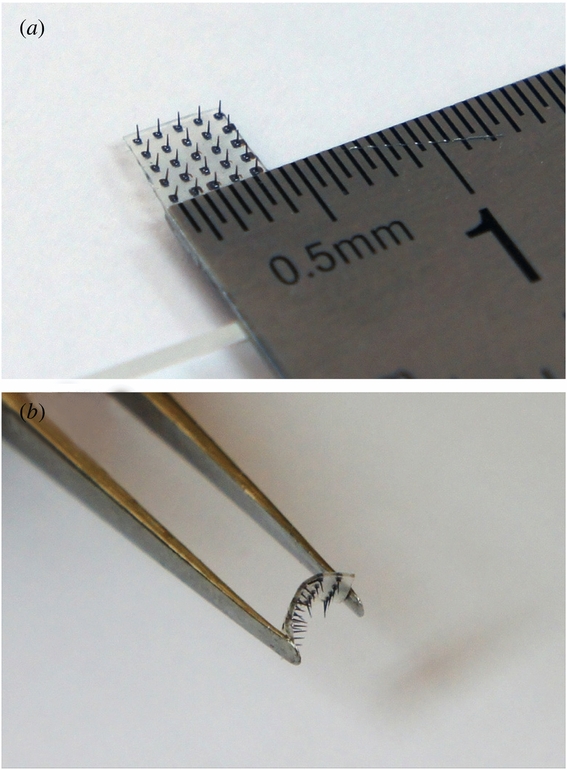 Fabrication of a flexible penetrating microelectrode array for use on ...
