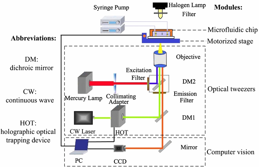 Cell manipulation tool with combined microwell array and optical ...