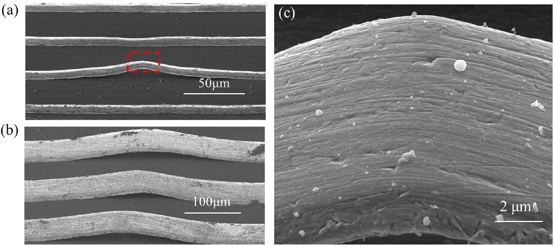Dynamic buckling behavior of thin metal film lines from substrate ...
