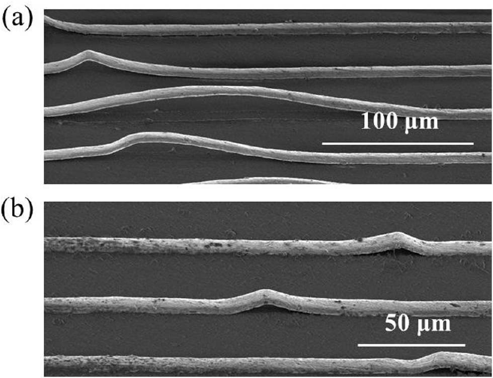 Dynamic buckling behavior of thin metal film lines from substrate ...