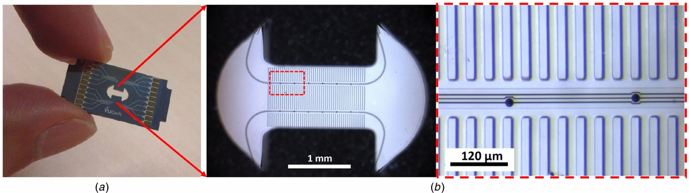 A novel stretchable micro-electrode array (SMEA) design for directional ...