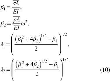 Equation (10)