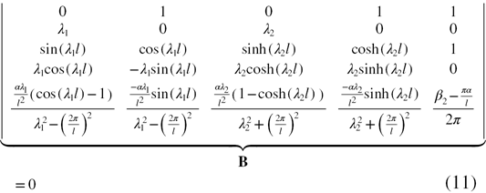 Equation (11)